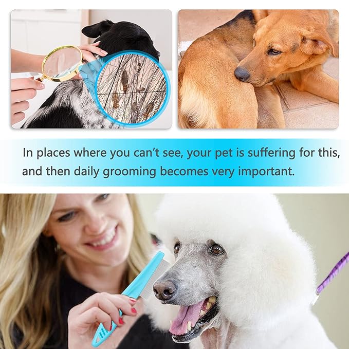 Cat Comb Dog Comb Fine Tooth Comb Pet Comb Grooming Set For Grooming And Removing Dandruff Flakes Remove Float Hair Tear Marks (blue)