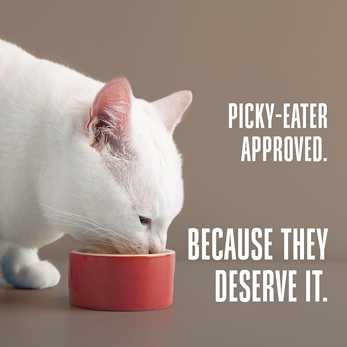 Whole Life Pet Freeze Dried Cat Food - Human-Grade Wet Cat Food Toppers, Natural Broth for Cats, Instantly Hydrating Cat Snacks, Lickable Cat Treats, Just Add Water - Salmon & Tuna, 3 Oz