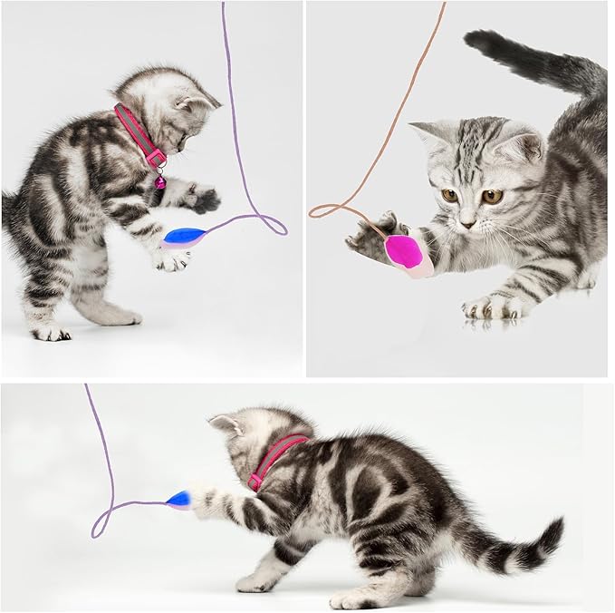 simarro 3 Pcs Cat Feather Wand Toys, Interactive Cat Teaser Wand Toy for Indoor Cats Adult, Colorful Feather Kitten Cat Stick Toys for Indoor Cats Play Chase Exercise