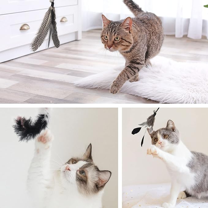 SONGWAY Interactive Cat Feather Toys - 7 Pcs Cat Toy Set, Retractable Cat Wand Toy, Teaser Refills Worm Bird Feathers with Bell, Cat Teaser Toys for Indoor Cats Kitten Play Chase Exercise, Black