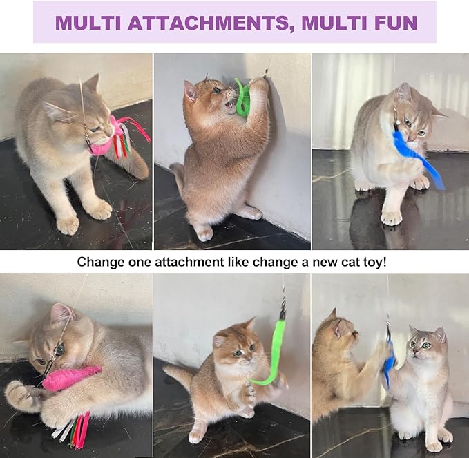 11PCS Cat Wand Toy, Cat Toys Interactive for Indoor Cats, 2 Retractable Cat Wand, 7 Worm Cat Teaser Toys and 1 Plush Fish Cat Toy, Cat Feather Toys for Play Chase Exercise with Kitten, Extra 1 Line