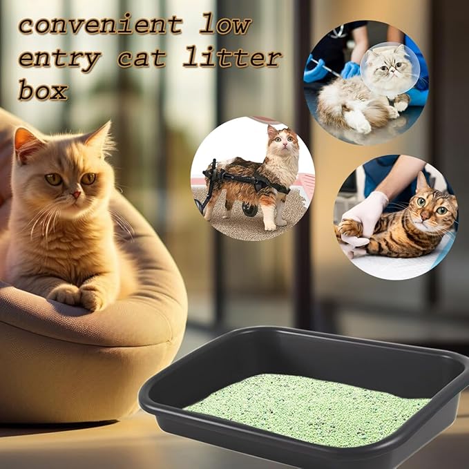 3 Pcs Low Entry Senior Cat Litter Box,Extra Large Size Pet Litter Box Low Entry Open Top Cat Litter Box for Kitten Frail Handicap Disabled Older Elderly Cats and Kitten,Easy to Clean (Dark Gray)