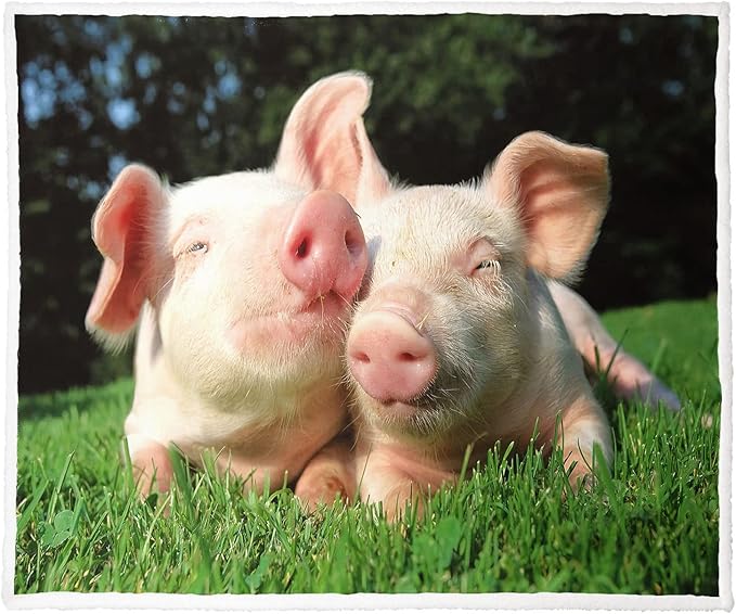 Pink Pigs Sherpa Blanket, Cute Piggy Fleece Throw Blankets for Couch Sofa Bed, Super Soft Warm and Lightweight, 60" x 80"