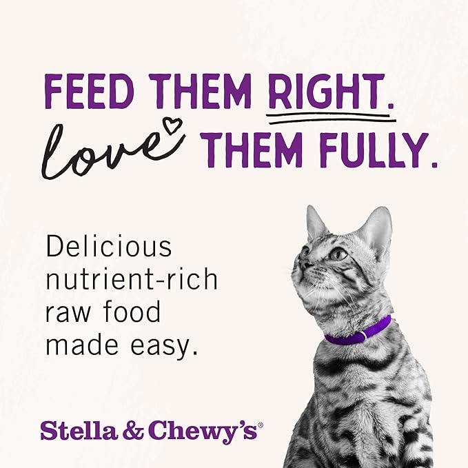 Stella & Chewy's Freeze-Dried Raw Cat Dinner Morsels – Grain Free, Protein Rich Cat & Kitten Food – Plate Lickin' Pork Recipe – 8 oz Bag