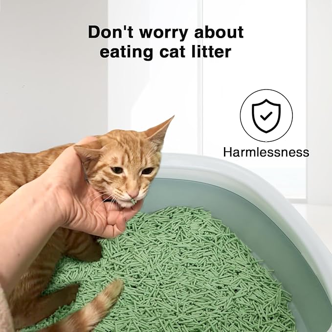 BLUERISE Tofu Cat Litter 6LB×2Bags Natural Cat Litter Flushable Toilet Quick Clumping Dust Free Odor Control Kitty Litter (Green Tea)