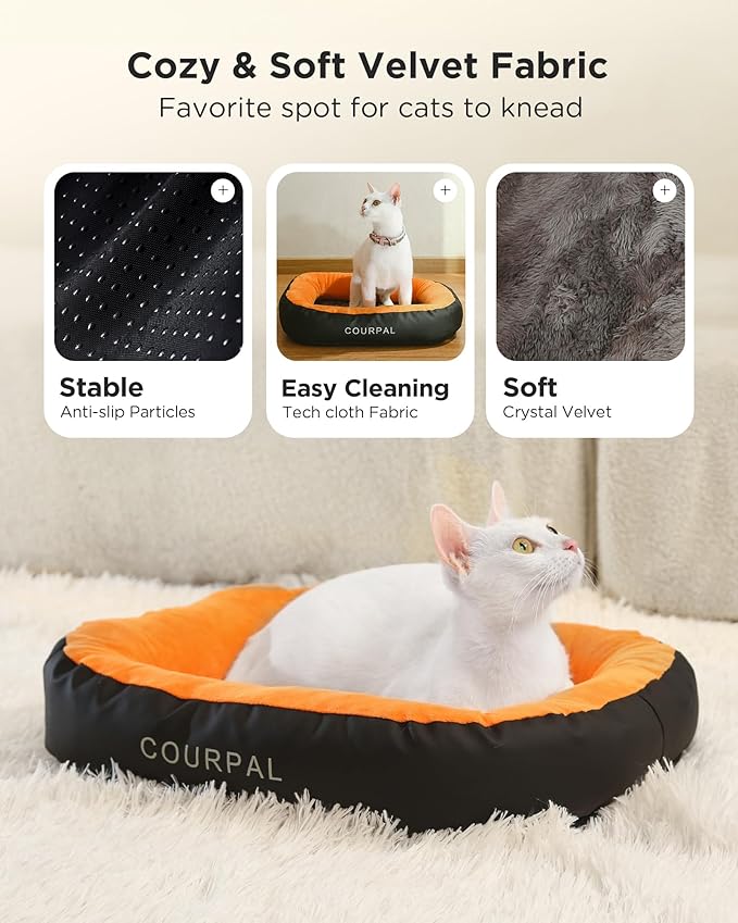 Heated Pet Bed for Indoor Cats - Self Warming Heating Dog Bed with Fur Fluffy Plush - Orthopedic Small Animal Bed with Memory Foam Side for Cat Puppy Rabbit - 4 Timing | 9 Temp | 19"x15"