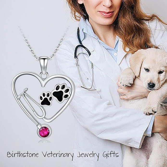 Birthstone Veterinary Stethoscope Necklace 925 Sterling Silver Nurse Vet Pendant with Dog Paw Nurse Jewelry Gifts for Veterinarian Nurse Women Veterinarian Gifts