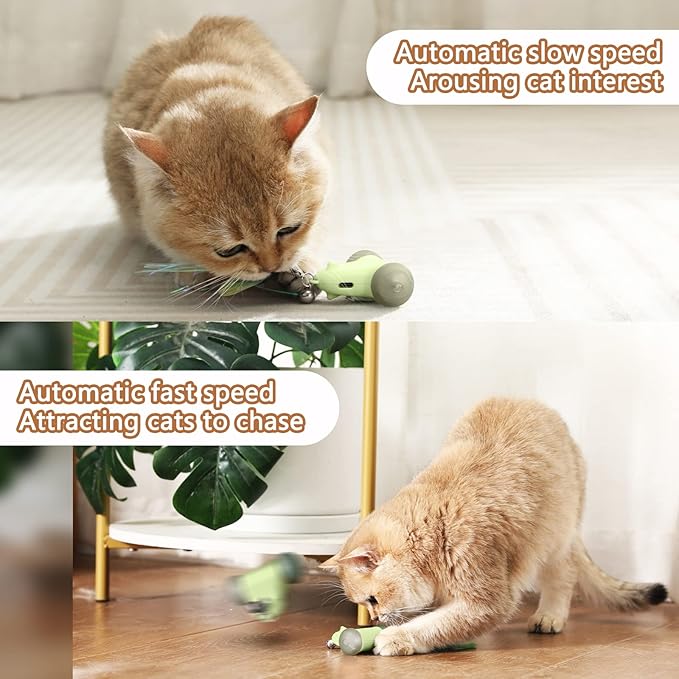 CZPET Cat Toys Kitten Jump Exercise Interactive Replaceable Elastic Automatic Toy Funny Cat Teaser Various Developmental Puzzle Toys Feather Mouse