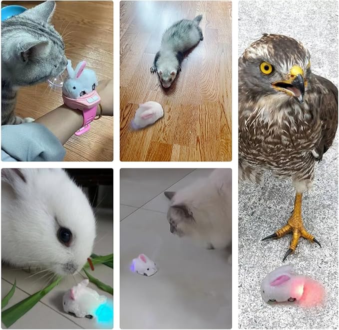 MANON ROSA Cat Toys for Indoor Cats Interactive Enrichment Cute Rabbit Watch Toys for Small Medium Large Bored Adult Cats Dogs Small Animals
