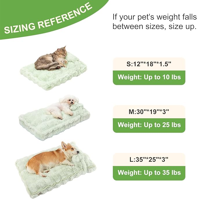 Jiupety Medium Dog Bed for Crate, Mattress with Dog Pillow for Crate Small Dogs, Donut Small Dog Bed. Plush Dog Crate Pad for Medium Dogs Up to 35 Lbs, L(35"*25"*3"), Green.