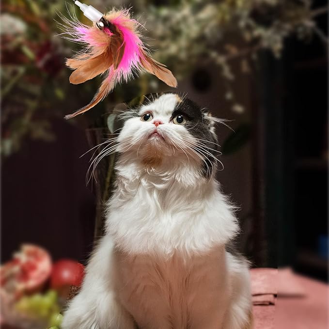 Cat Teaser Wand Toy, Cat Teasing Wand Collar Silicone Adjustable Cat Wand Toy Feather with Bell Cat Interactive Teaser Toys for Indoor Cat Kittens Playing Exercise (Blue)