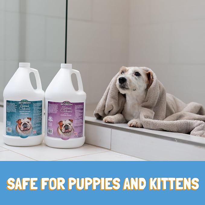 Bio-Groom Oatmeal Dog Shampoo – for Allergies and Itching, Cruelty-Free, Dog Bathing Supplies, Puppy Shampoo for Sensitive Skin, Made in USA, Anti-Itch Dog Products – 2.5 Gallons