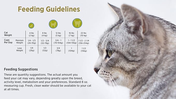 Blackwood Pet Cat Food Made In USA [Super Premium Dry Cat Food For Adult, Indoor, and Senior Cats], Chicken Meal and Brown Rice Recipe 4-Pound