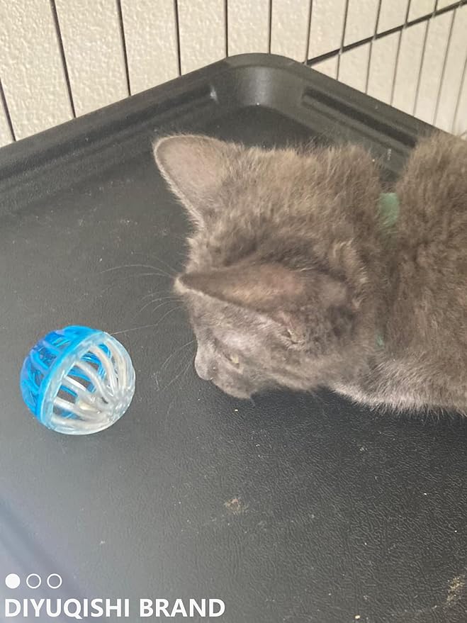 Cat Toys for Indoor Cats & Kittens - 10 Plastic Balls with Bells, Interactive Play & Healthy Exercise, 1.5-2.2 Inches, Assorted Styles