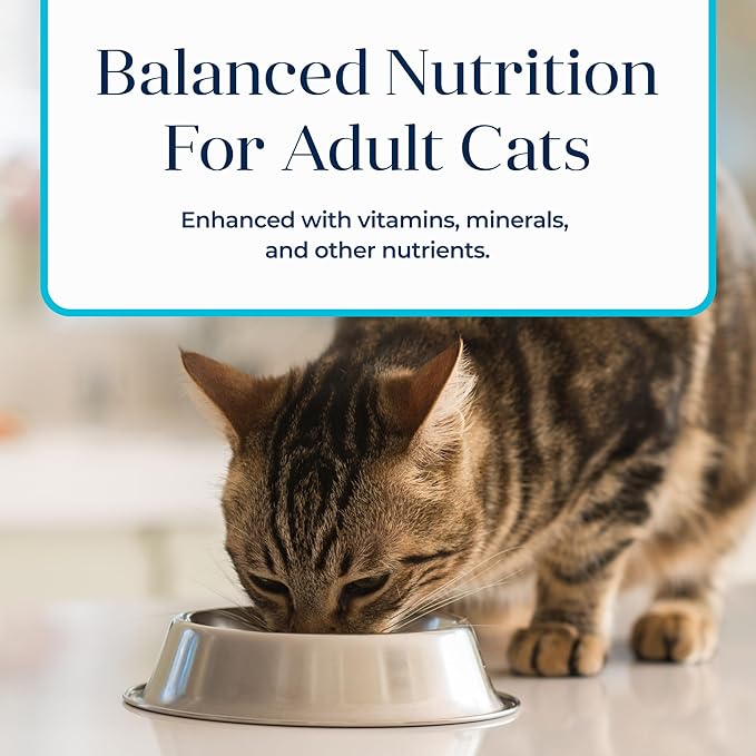 Blue Buffalo Basics Grain-Free Adult Wet Cat Food, Skin & Stomach Care, Limited Ingredient Diet, Fish Recipe, 3-oz. Can, 24 Count