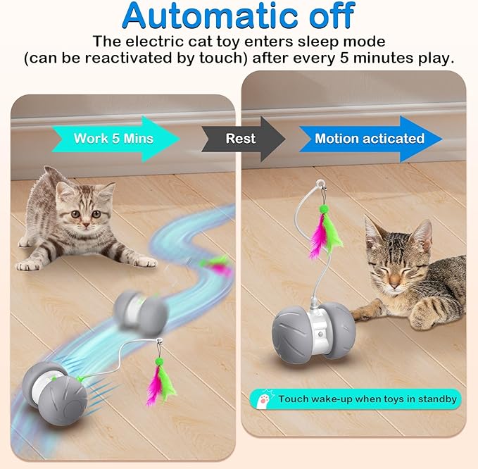 Interactive Cat Toys Fast Rolling Power Ball with Extra Long Feather Wand, Motion Activated Cat Toys