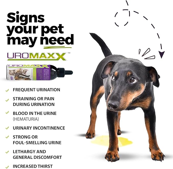 Cat & Dog Urinary Tract Treatment, Bladder & Kidney Support for Dogs and Cats, Powerful Yet Gentle Pet Care, with Liquid Cranberry & Glucosamine, Salmon Flavor, 6 oz Bottle, 2 Pack