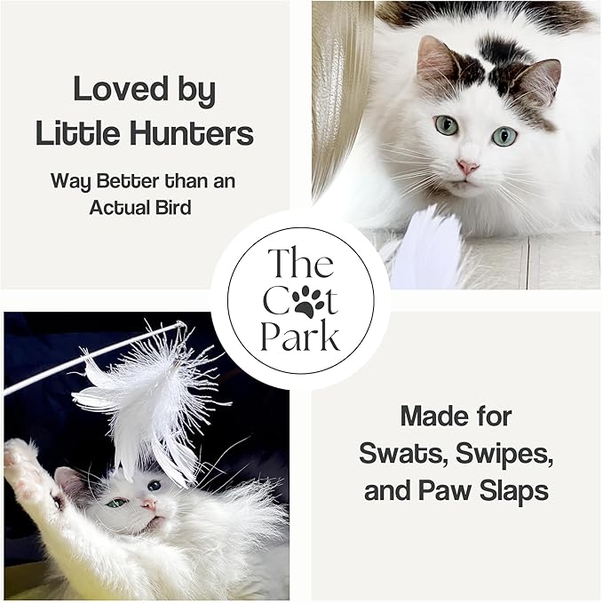 Cat Park Cat Wand Toys for Indoor Cats - 2PCS Interactive Cat Toy Wand with 4 Cat Feather Toys Refills, 27" Flexible Steel Wire, Sturdy Wood Handle & Bell, Fun Kitten or Cat Teaser Toy to Play, Chase