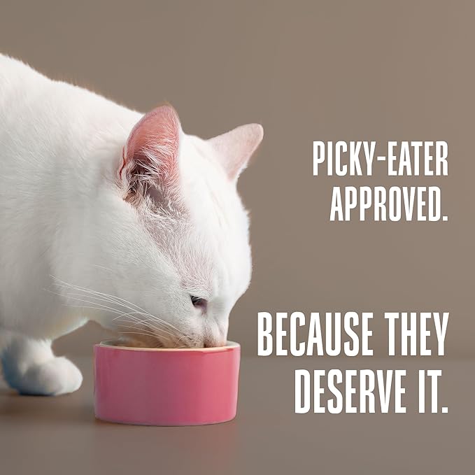 Whole Life Pet Freeze Dried Cat Food - Human-Grade Wet Cat Food Toppers, Natural Broth for Cats, Instantly Hydrating Cat Snacks, Lickable Cat Treats, Just Add Water - Shredded Tuna, 3 Oz