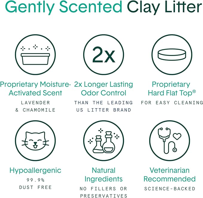Boxie® Gently Scented 30 Day Natural Odor Control Cat Litter, 16lb Clumping Clay Kitty Litter
