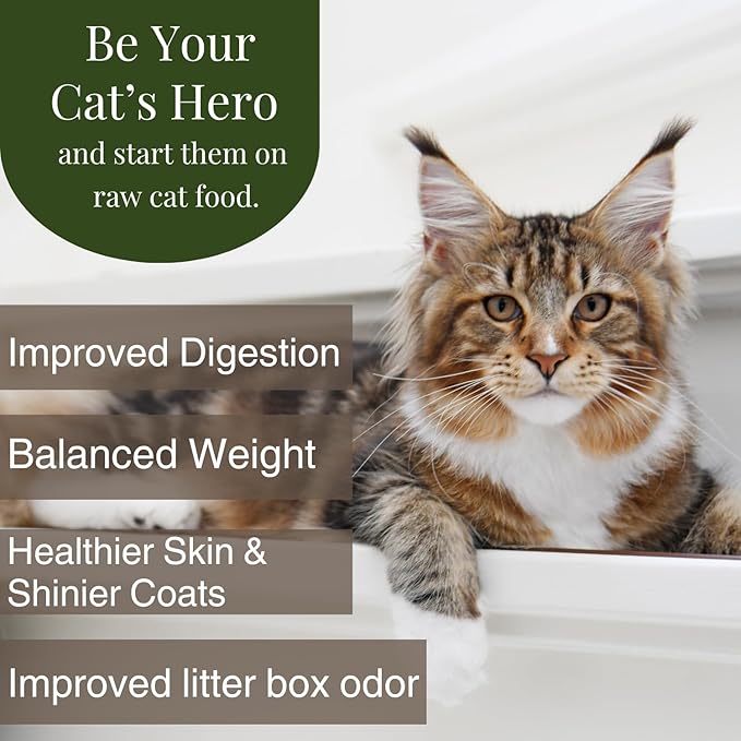 BJ's Raw Pet Food Freeze Dried Complete Premium Cat Mix Protein Rich Nutritious Meal for Optimal Health Made in USA, 4-Ounce