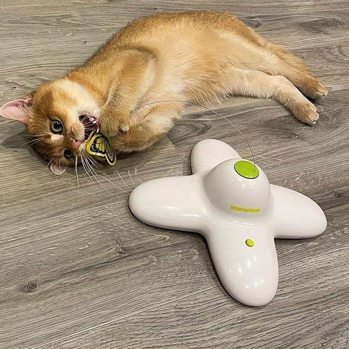 ALL FOR PAWS Cat Interactive Toys for Indoor Cats Kitten Wand Toy, Fluttering Butterfly, Cat Fun Playing Toys Kitten Toys (Flutter Bug)