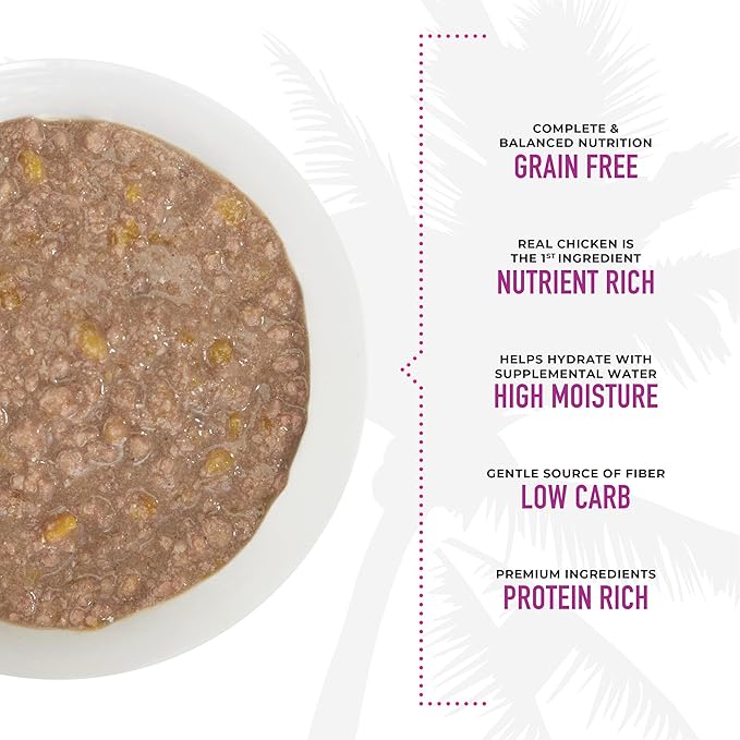 Tiki Cat Aloha Friends, Chicken, Pumpkin & Duck, Grain-Free & High Moisture, Wet Cat Food for All Life Stages 2.5 oz. Pouch (Pack of 12)