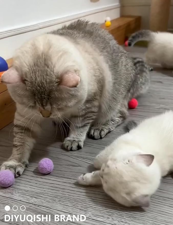 Cat Toys, 15 Pieces Set, Includes Kitten Toys, Like Plush Balls and a Mechanical Chick, Bell Balls, and Soft Toys for Indoor Cats to Play and Stay Active, Safe Materials for Hours of Fun