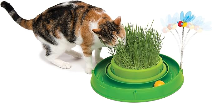 Catit Play Circuit Ball Cat Toy with Scratch Pad Catnip Toy, Green, 43002