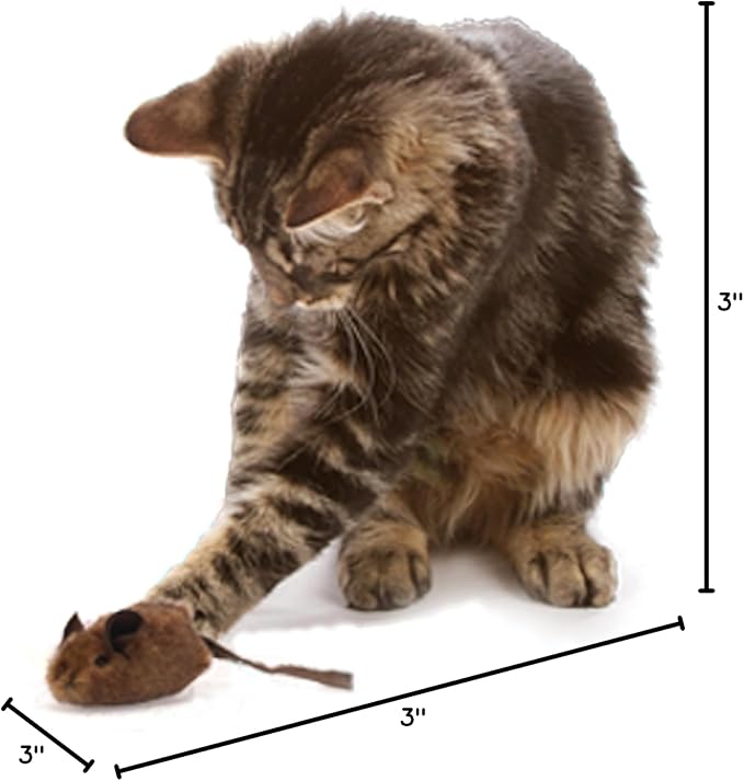 OurPet's Play-N-Squeak Mouse Hunter Cat Toy (Interactive Cat Toy & Catnip Toy with Real Mouse Electronic Sound) Perfect Toys for Indoor Cats with Catnip