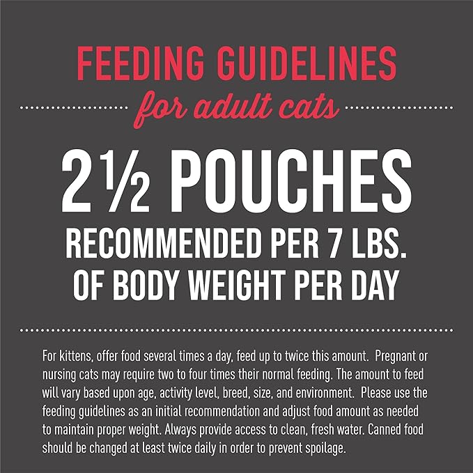 Tiki Cat Aloha Friends, Chicken, Pumpkin & Beef, Grain-Free & High Moisture, Wet Cat Food for All Life Stages 2.5 oz. Pouch (Pack of 12)