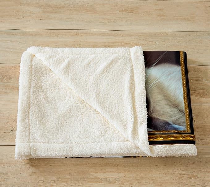 Feelyou Siamese Fleece Throw Blanket for Bed Sofa Couch Cute Cat Plush Blanket Baby 30"x40" Kawaii Kitten Sherpa Blanket Gift for Siamese Lover Fuzzy Blanket Flannal Blanket