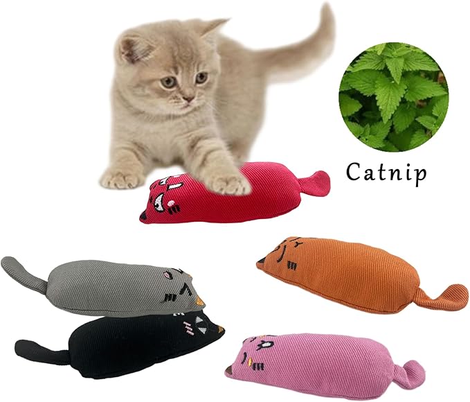 5 Pcs Cat Catnip Toys, Interactive Toy Cat Bite Resistant Chew Toy for Indoor Cats, Kittens Kitty Pillow Toys Soft, Catnip Filled Cartoon Mice Cat Teething Chew Toy