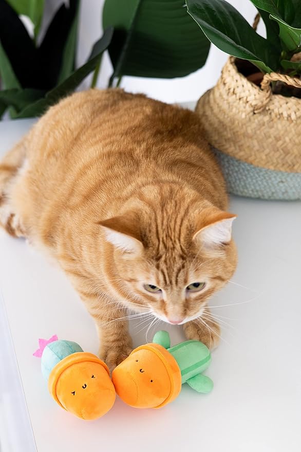 pearhead Prickly Plants Cat Toy Set, Cute Catnip Toys, Plush Cactus Interactive Chew Toys, Pet Owner Must Have Catnip Toys, Set of 2 Plush Toys