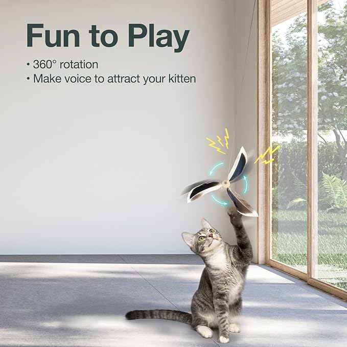 ALL FOR PAWS Cat Wand Toy Replacement Cat Feather Toys for Indoor Cats, 2 Packs