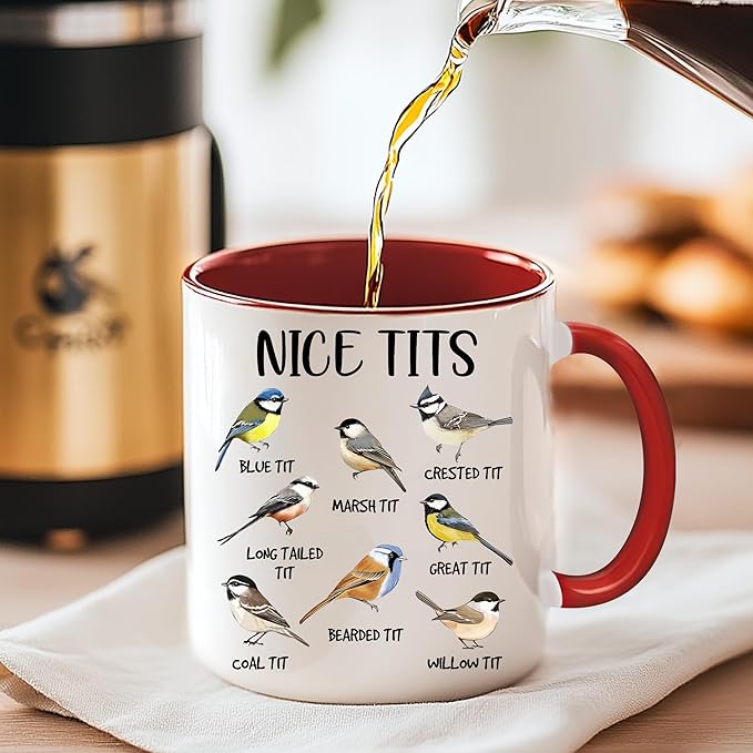 Bird Mug - Bird Gifts For Bird Lovers - Bird Watching Gifts - Fowl Language Bird Mug - Bird Coffee Mugs - Nice Bird Coffee Mug - Bird Themed Gifts - Bird Cup - Birthday Gag Gifts For Women, Men