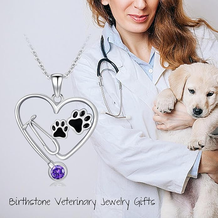 Birthstone Veterinary Stethoscope Necklace 925 Sterling Silver Nurse Vet Pendant with Dog Paw Nurse Jewelry Gifts for Veterinarian Nurse Women Veterinarian Gifts