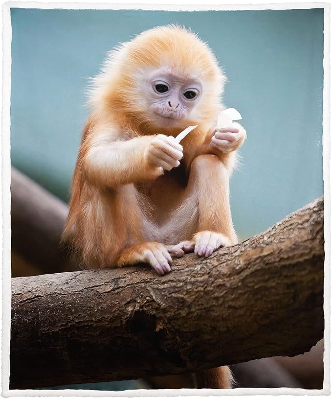 Golden Monkey Sherpa Blanket, Animal Print Fleece Throw Blankets for Couch Sofa Bed, Super Soft Warm and Lightweight, 60" x 80"