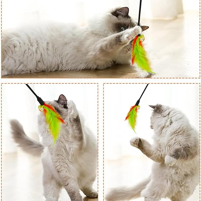 10Pcs Interactive Cat Toys Feather Toys Cat Toys Wand with 10Pcs Cat Teaser Stick Storage Holder for Indoor Cats to Chase and Exercise
