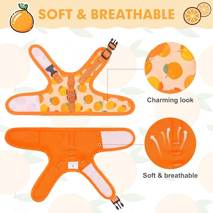 BINGPET Cat Harness with Leash Escape Proof - Fashionable Mesh Cat Dog Walking Harness Leads, Adjustable for Kitties Puppies Small Animals, Large