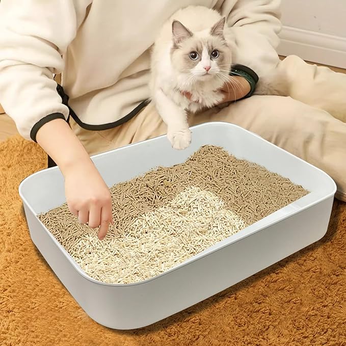 5 Pcs Small Litter Box,13.9 x 9.8 x 3 Inch Plastic Kitten Litter Pan, Low Entry Waterproof Open Cat Litter Box Travel Toilet for Small Pet Kitty Bunny Guinea Pig, Easy to Clean, Multicolor