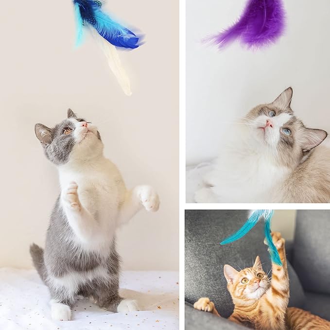 SONGWAY Interactive Cat Feather Toys - 7 Pcs Cat Toy Set, Retractable Cat Wand Toy, Teaser Refills Worm Bird Feathers with Bell, Cat Teaser Toys for Indoor Cats Kitten Play Chase Exercise, Blue