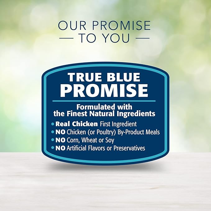 Blue Buffalo Freedom Grain-Free Wet Cat Food, Complete & Balanced Nutrition for Mature Indoor Cats, Made with Natural Ingredients, Chicken Recipe, 5.5-oz. Cans (24 Count)