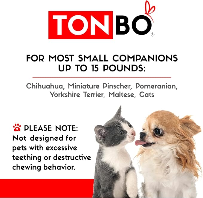 TONBO Soft Plush Small Cute and Cozy Watermelon Dog Cat Bed, Washer and Dryer Friendly (Watermelon)