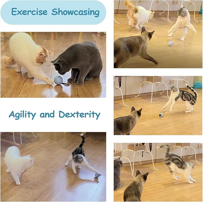 Migipaws Interactive Cat Ball Toy Set, Fun Tracker, Automatic Rolling Chase Ball with Fluffy Tail, A Small Mice, Rechargeable（White）