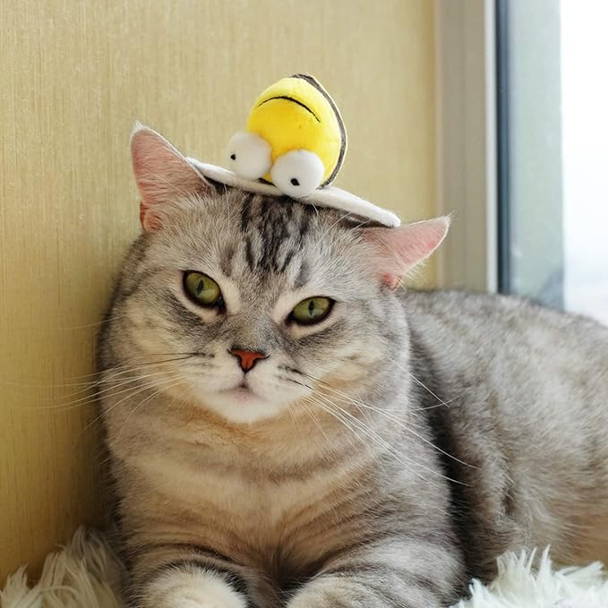 Gigwi Interactive Squeaking Cat Toy，Chirpy Bee Sound Toy for Cats，Melody Chaser Play Squeak Kitten Toy for Boredom