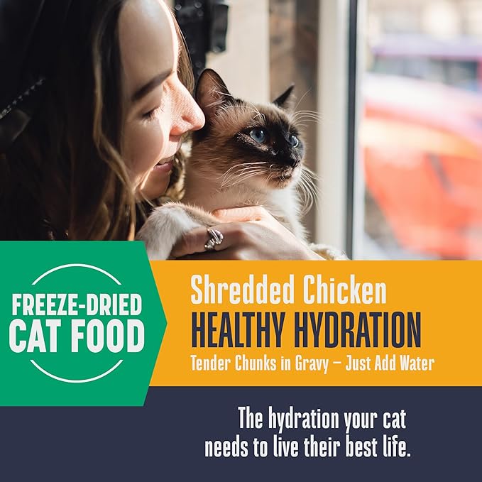 Whole Life Pet Freeze Dried Cat Food - Human-Grade Wet Cat Food Toppers & Complement, Natural Broth for Cats, Hydrating Snacks, Lickable Treats, Just Add Water – Shredded Chicken, 3 Oz