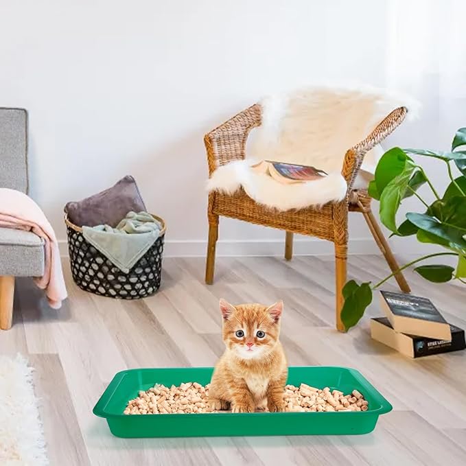 Hiceeden 6 Pcs Open Kitten Litter Box, 15.3 x 12 x 1.4 Inch Plstic Small Cat Litter Tray, Low Entry Travel Toilet Litter Pan for Rabbit, Kitty, Bunny, Guinea Pig, Multi Color