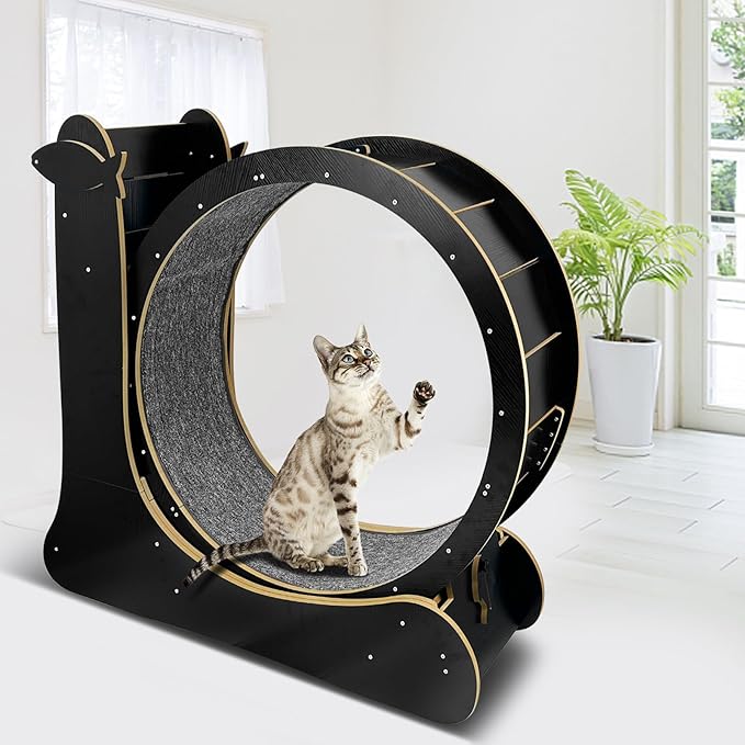 Upgraded 2 in 1 Cat Exercise Wheel，39.4" High Indoor Cat Running Wheel with Cat Scratcher, Cat Treadmill, TPE Silent Wheel, Wooden Cat Sport Exercise Wheel, Black
