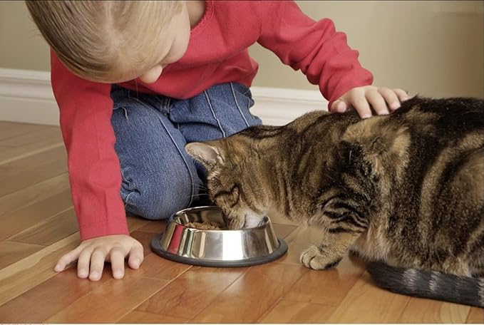 Broths for Cats Variety Pack with Marv & Milo's Bonito Fish Flakes Topper & Cat Nip Mouse, 12-1.4oz Pouches Total